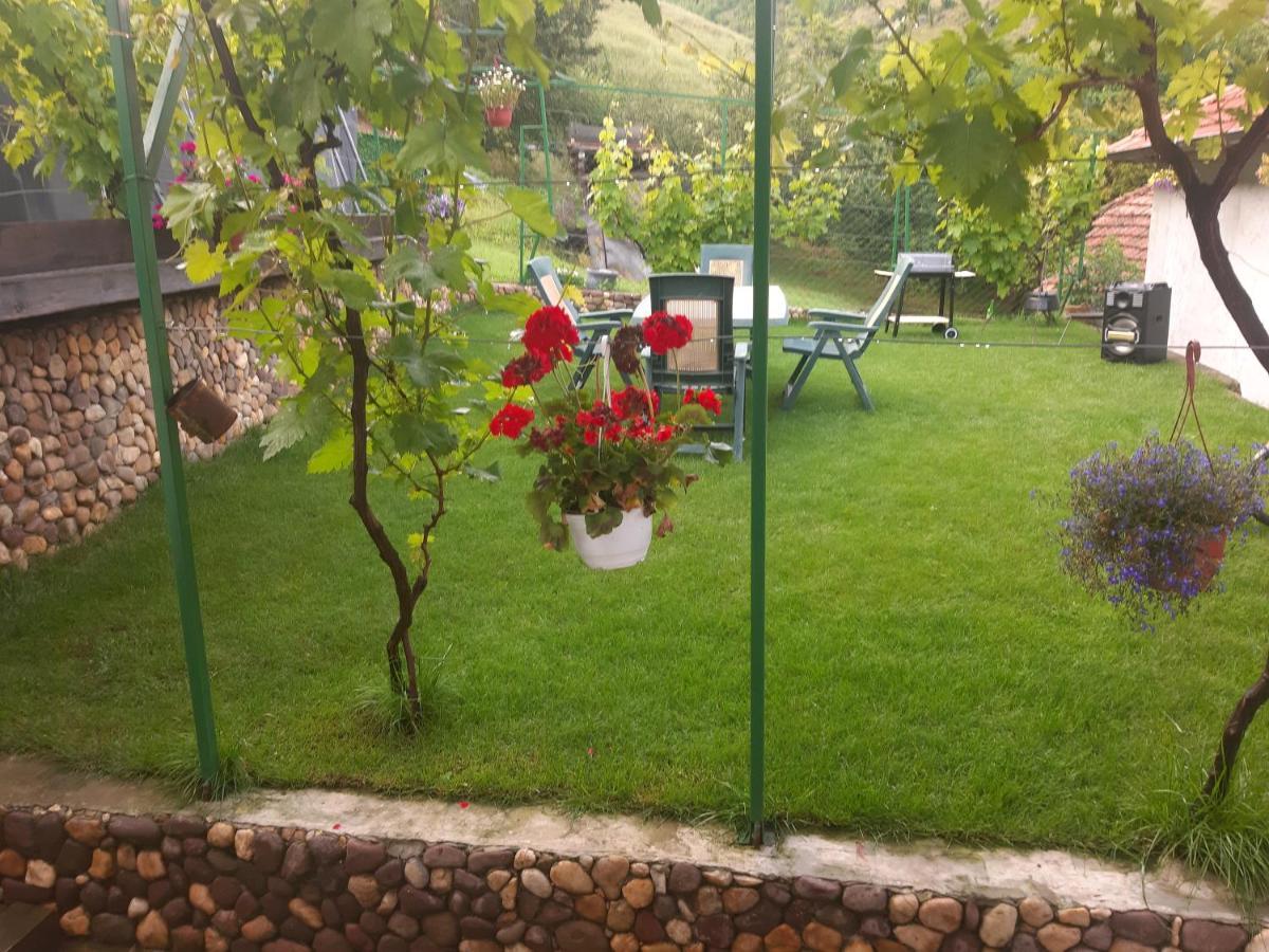 פירוט Vila Mir מראה חיצוני תמונה